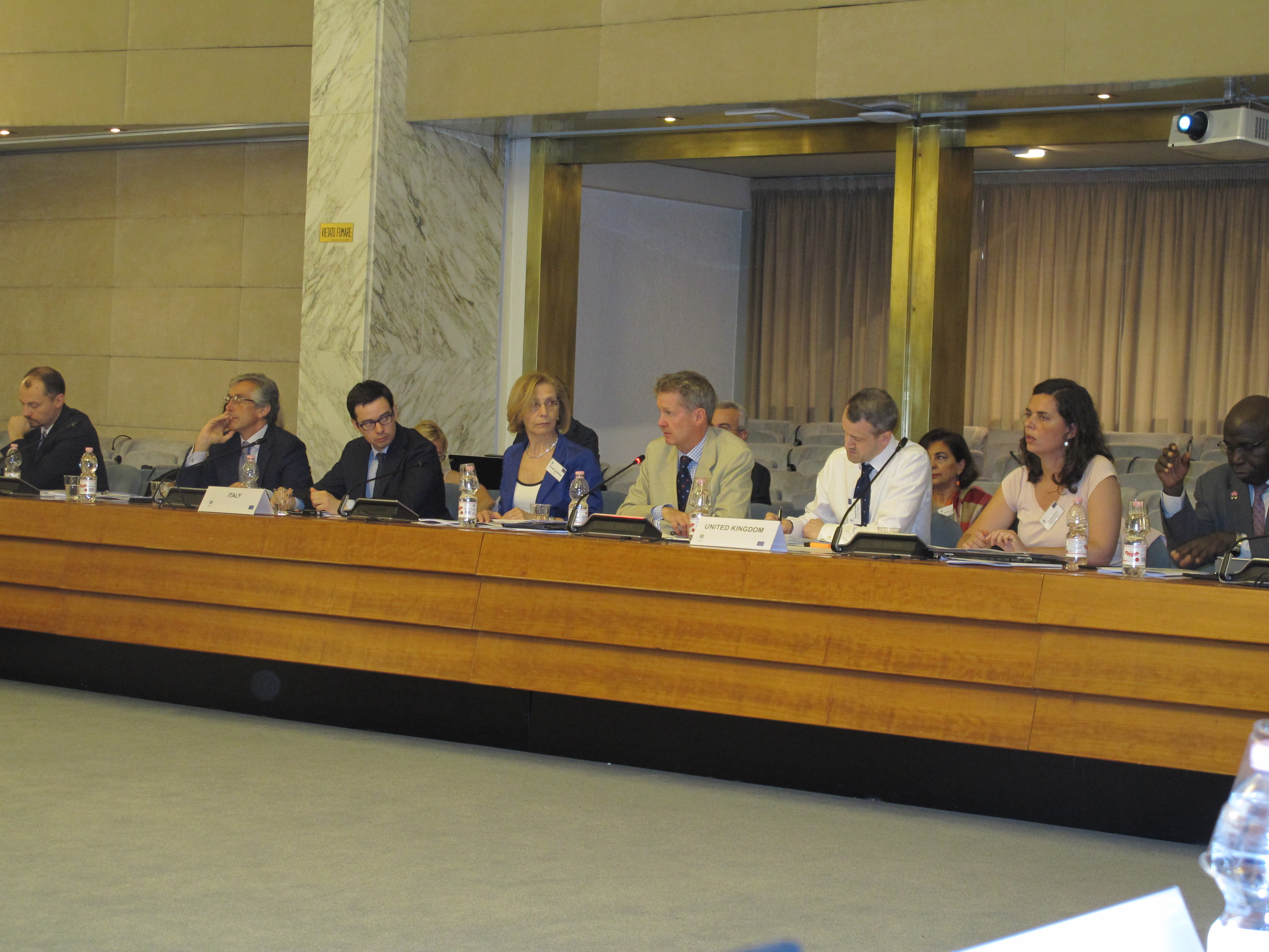 2nd Informal Level Working Group in Rome, 2016 