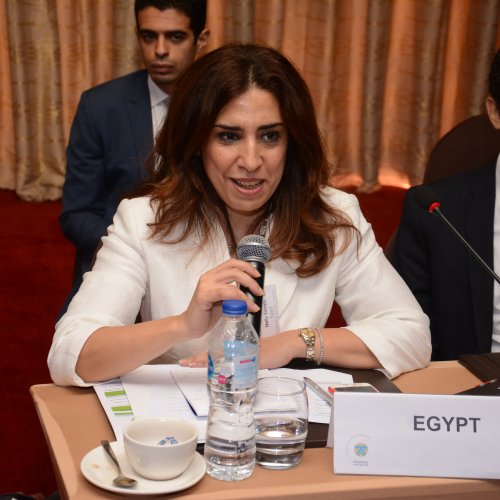Cairo - Thematic Meeting on Law Enforcement and Capacity Building, 10 – 11 July 2018 